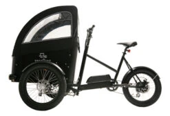 Vélo Cargo TreeBike FamilyBike Black